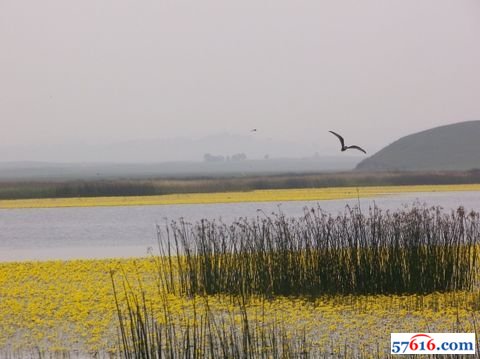 木兰围场 高原湖