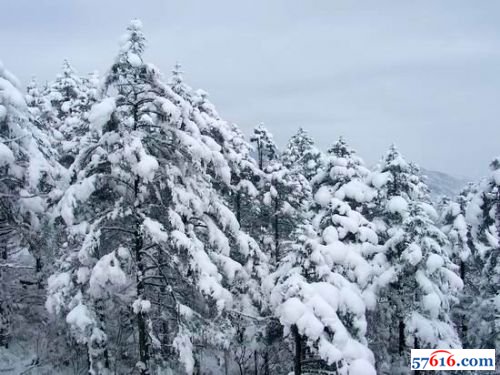 西岭雪山